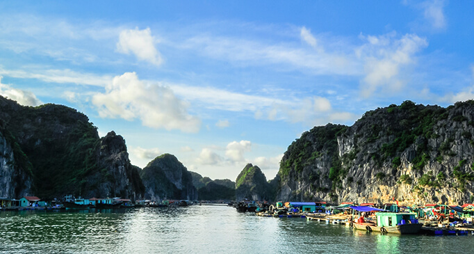 Immigration from Vietnam